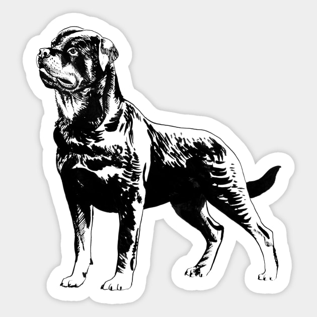 rottweiler portrait Sticker by VicaVeresk